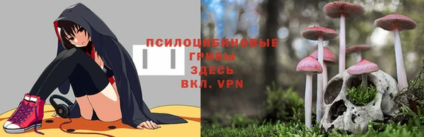мяу мяу мука Балабаново